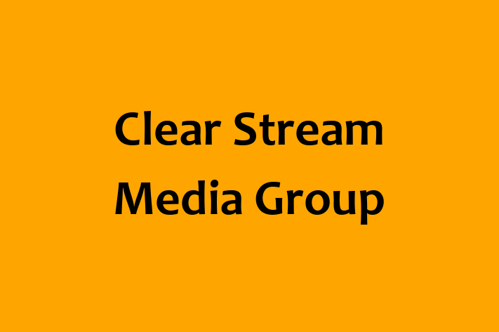 Software Consultancy Clear Stream Media Group