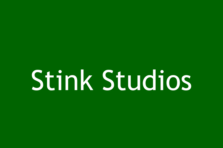 Technology Solutions Firm Stink Studios