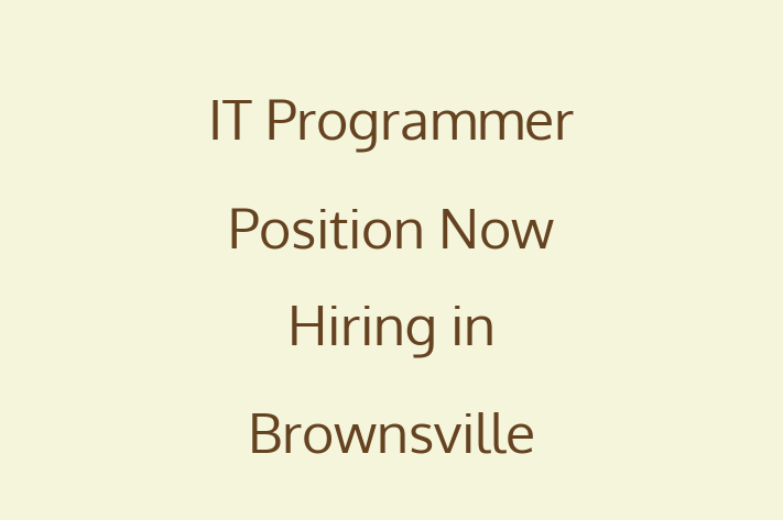 IT Programmer Position Now Hiring in Brownsville