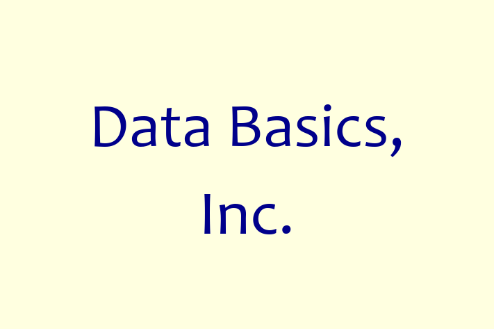 Tech Solutions Company Data Basics Inc.