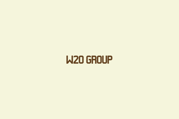 Software Solutions Provider W2O Group