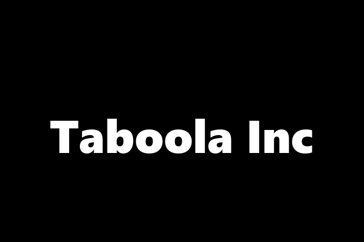 Software Development Company Taboola Inc