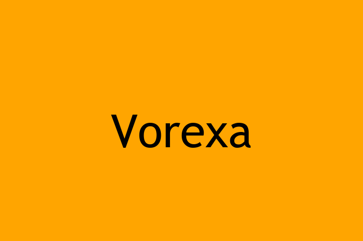 Tech Solutions Company Vorexa