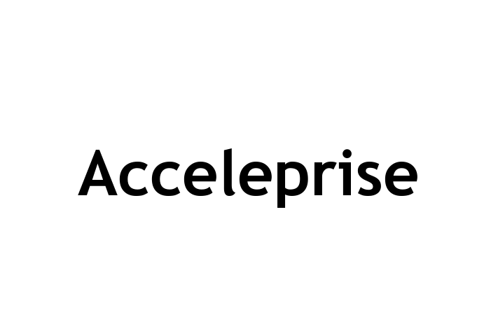 Application Development Company Acceleprise