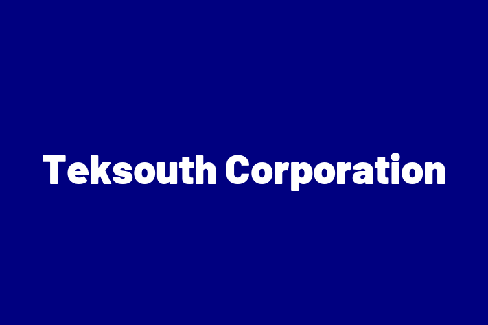 Software Consultancy Teksouth Corporation