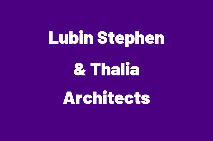 Construction architect Lubin Stephen Thalia Architects