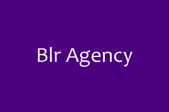 Software Engineering Company Blr Agency