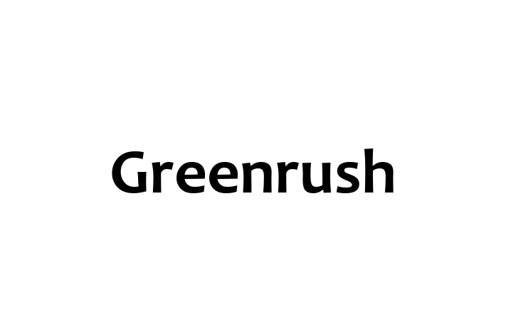 Software Consultancy Greenrush