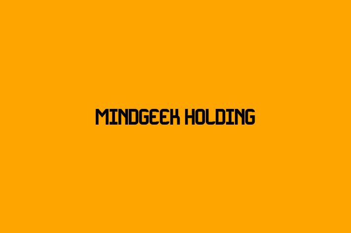 Technology Company MindGeek Holding