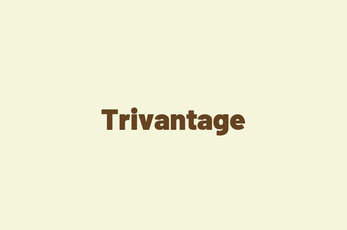 Software Engineering Company Trivantage