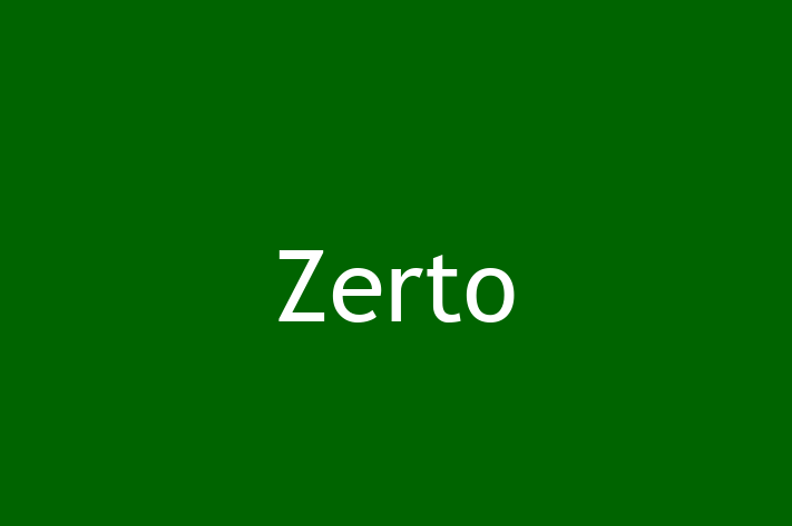 IT Company Zerto