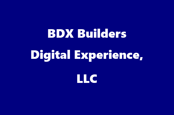 Digital Solutions Provider BDX  Builders Digital Experience LLC