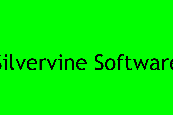 Software Services Company Silvervine Software