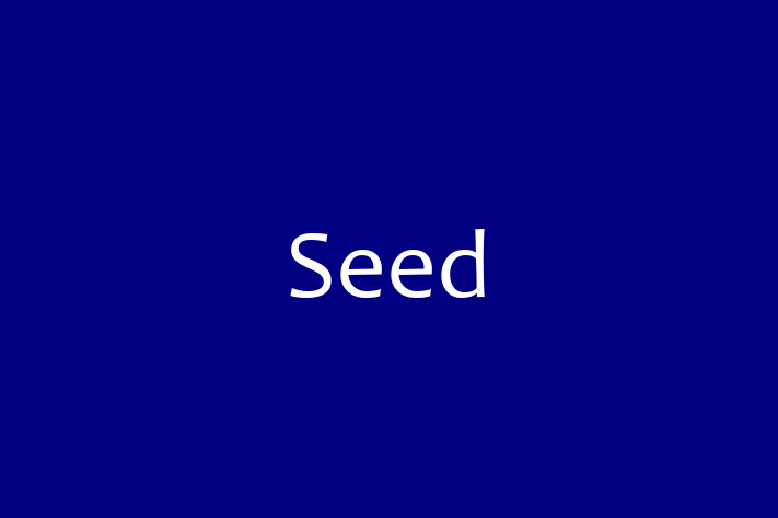 Technology Solutions Firm Seed