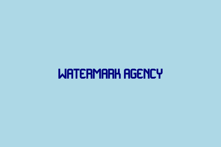 Digital Solutions Provider Watermark Agency