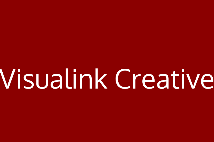 Technology Company Visualink Creative