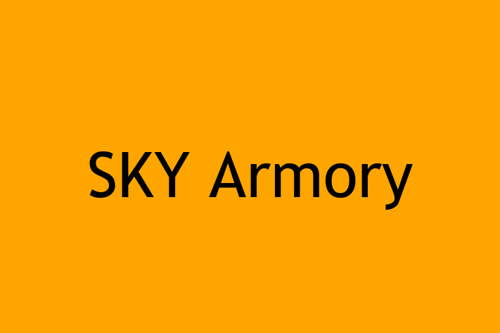 Software Development Firm SKY Armory