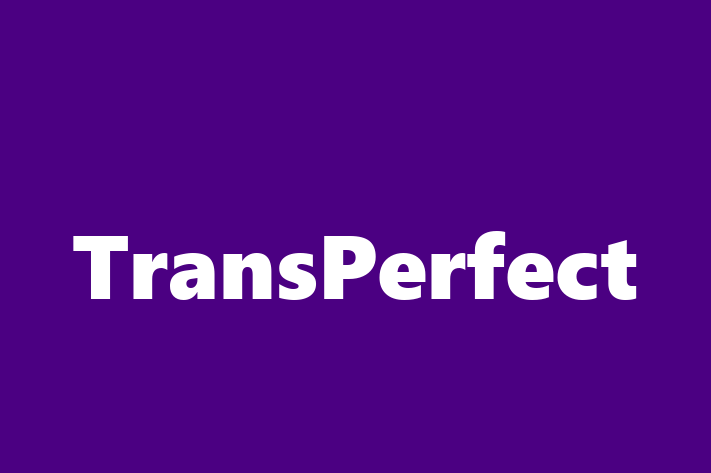 Tech Firm TransPerfect