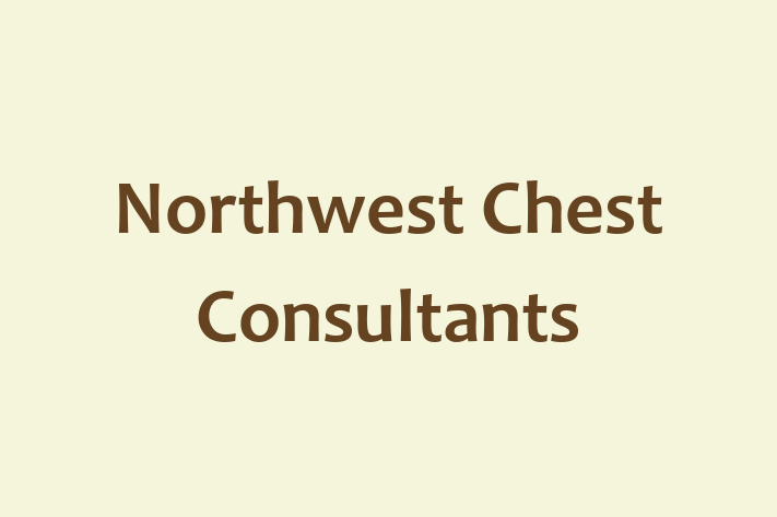 Technology Solutions Firm Northwest Chest Consultants