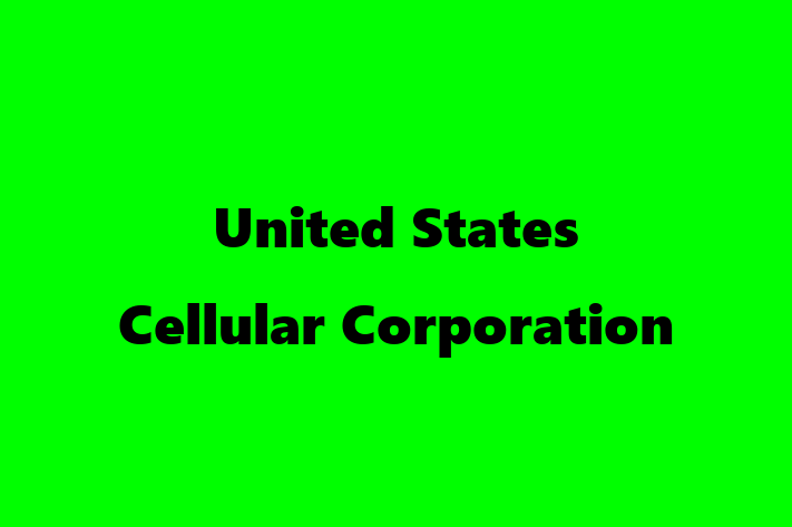 Software Development Company United States Cellular Corporation