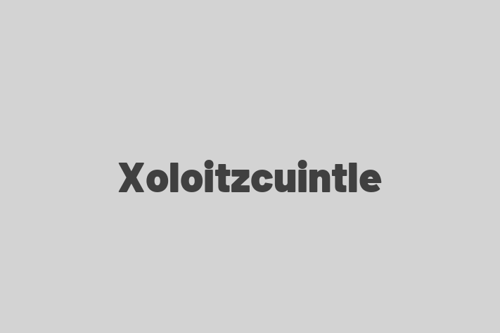 Xoloitzcuintle for Sale in Mesquite