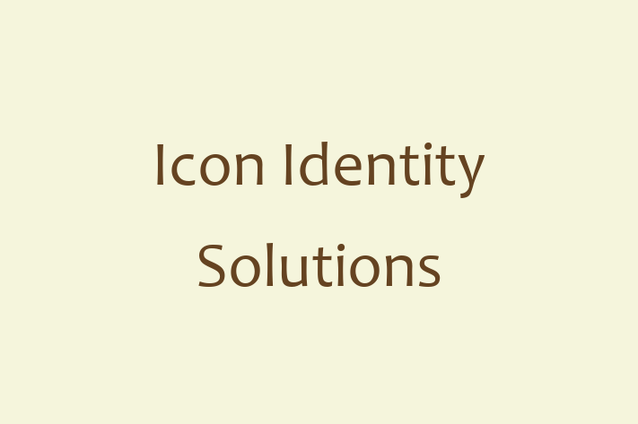 Tech Solutions Company Icon Identity Solutions