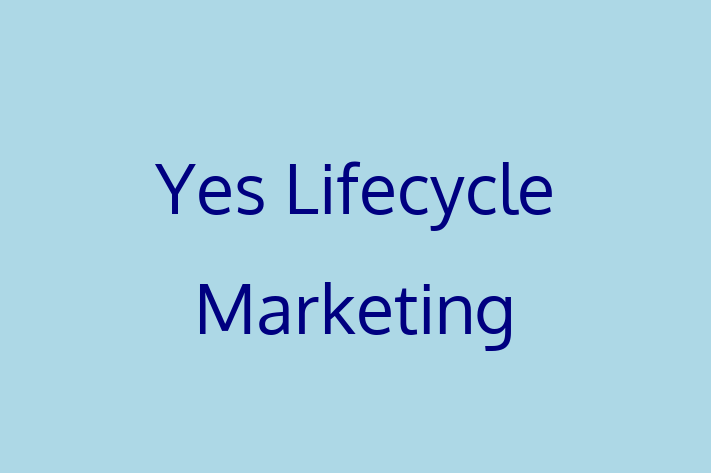 Digital Solutions Provider Yes Lifecycle Marketing