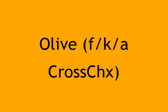 Digital Solutions Provider Olive fka CrossChx