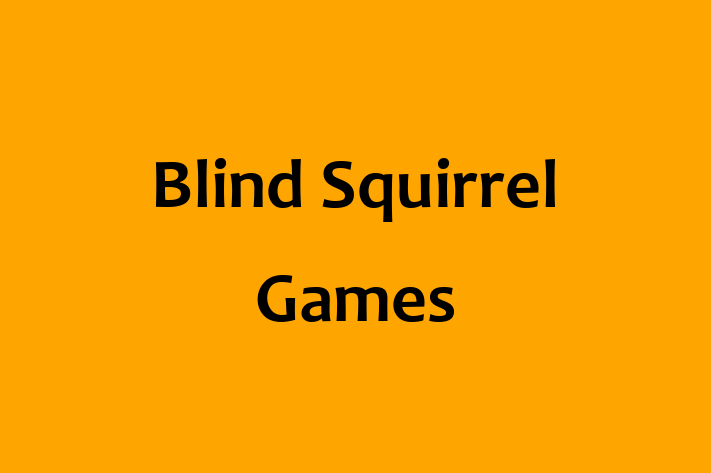 Employee Resource Management Blind Squirrel Games