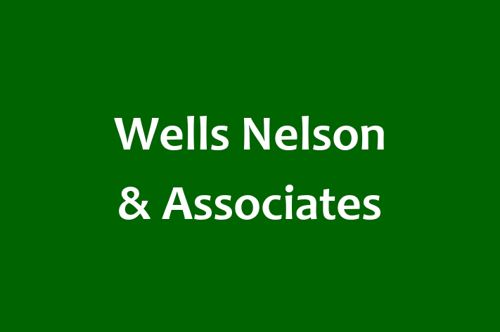 Software Development Firm Wells Nelson  Associates