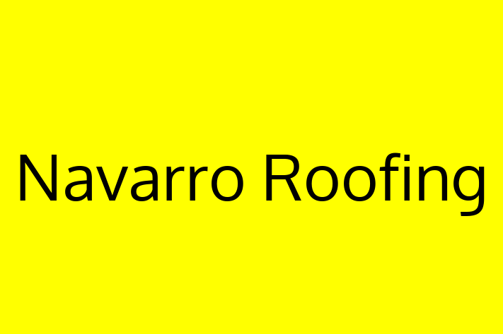 Home Sanitation Navarro Roofing