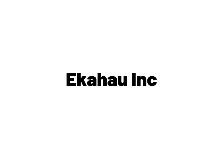 Software Engineering Company Ekahau Inc