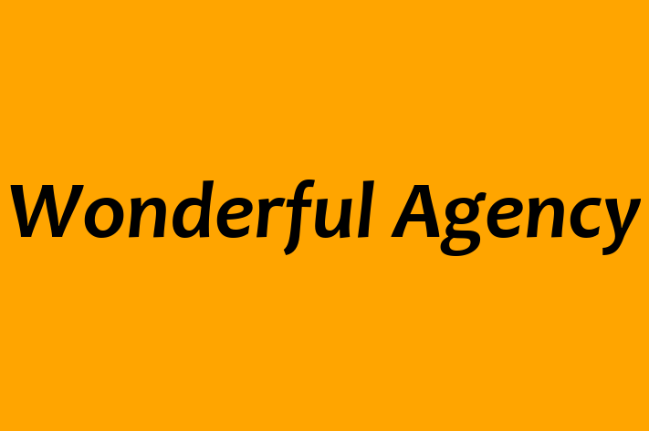 Software Consultancy Wonderful Agency