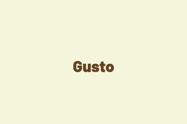 Software Consultancy Gusto