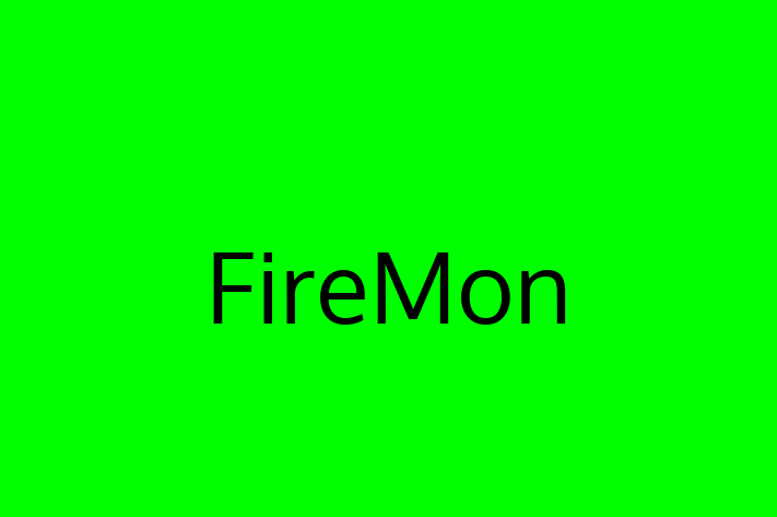 Digital Solutions Provider FireMon