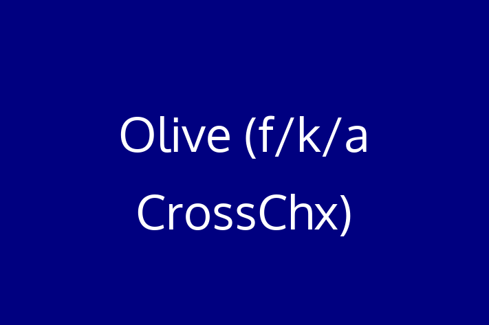 Tech Solutions Company Olive f/k/a CrossChx