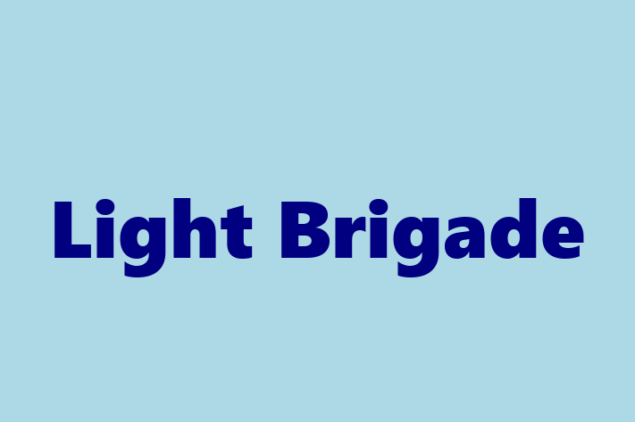 Tech Solutions Company Light Brigade