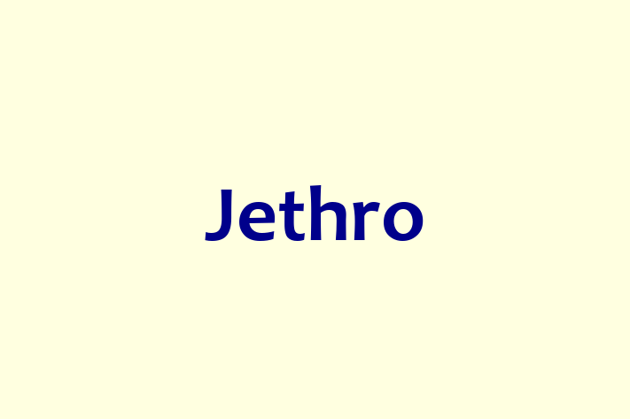 IT Company Jethro