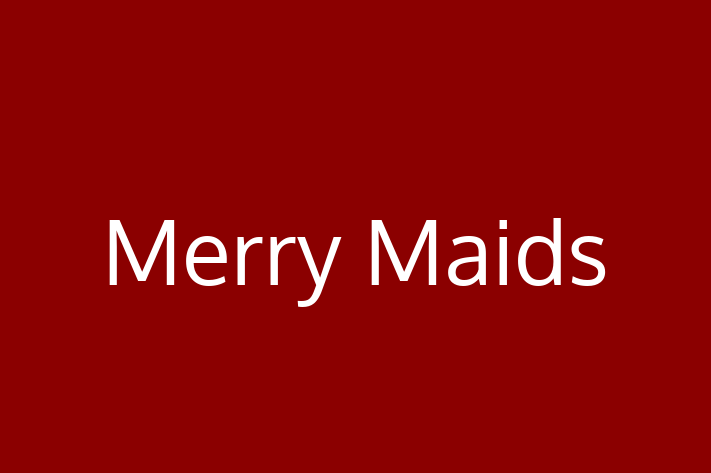 Residential Cleaning Merry Maids