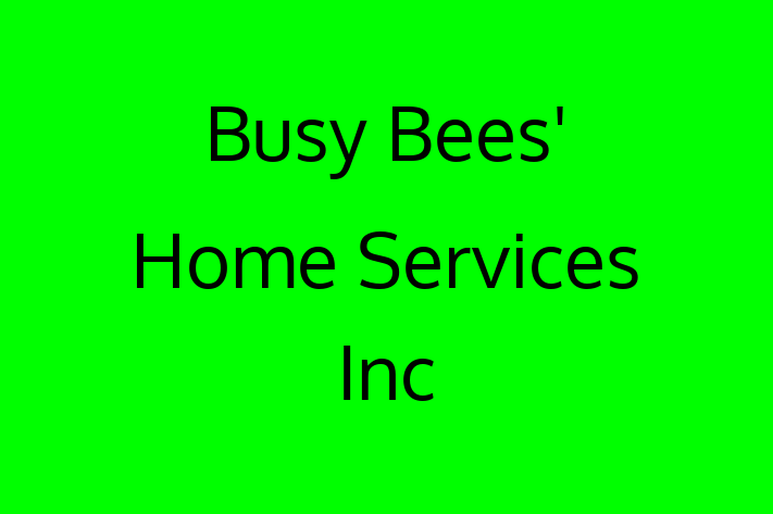 Home Cleaning Busy Bees Home Services Inc