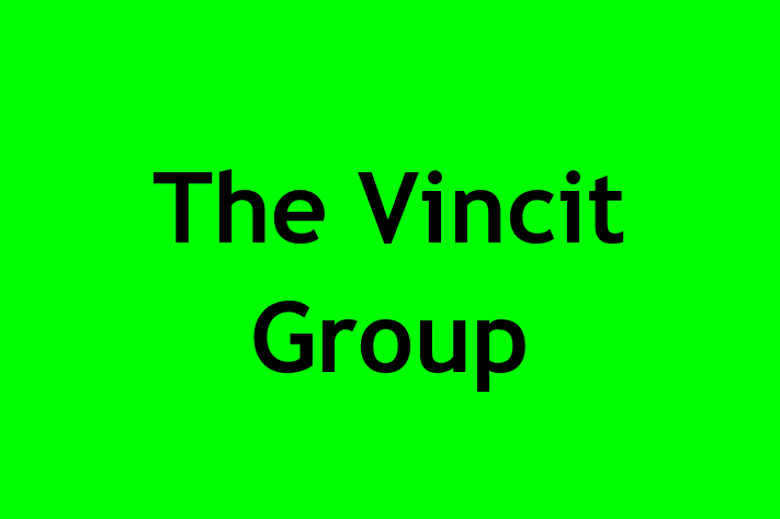 Employee Relations The Vincit Group