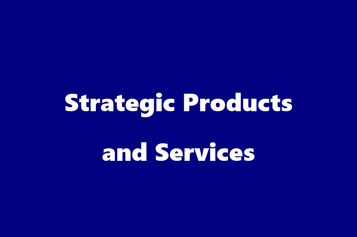 Tech Solutions Company Strategic Products and Services