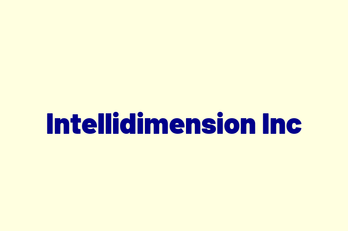 Technology Solutions Firm Intellidimension Inc