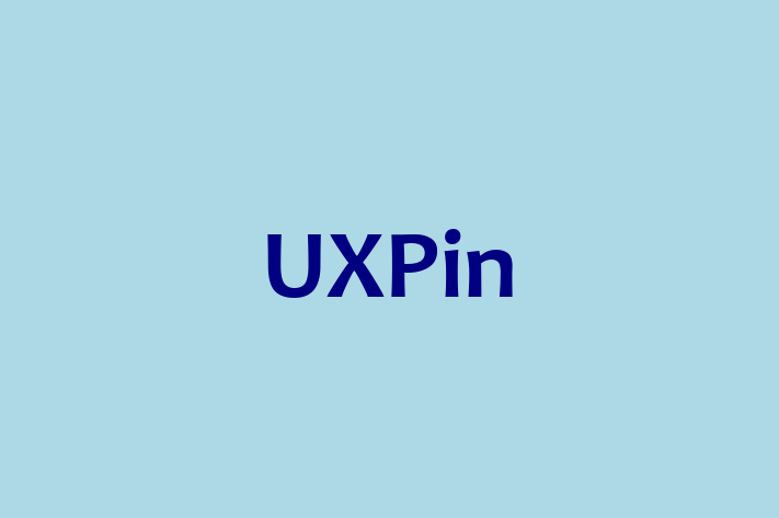 Tech Solutions Company UXPin