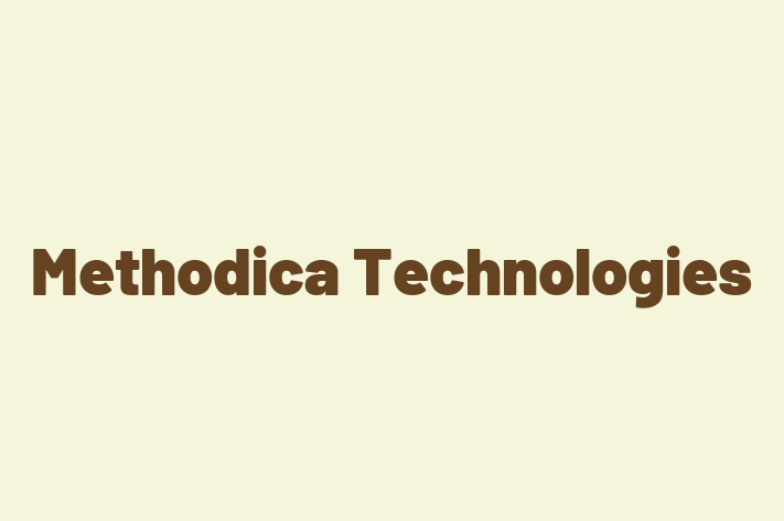 Staff Management Methodica Technologies