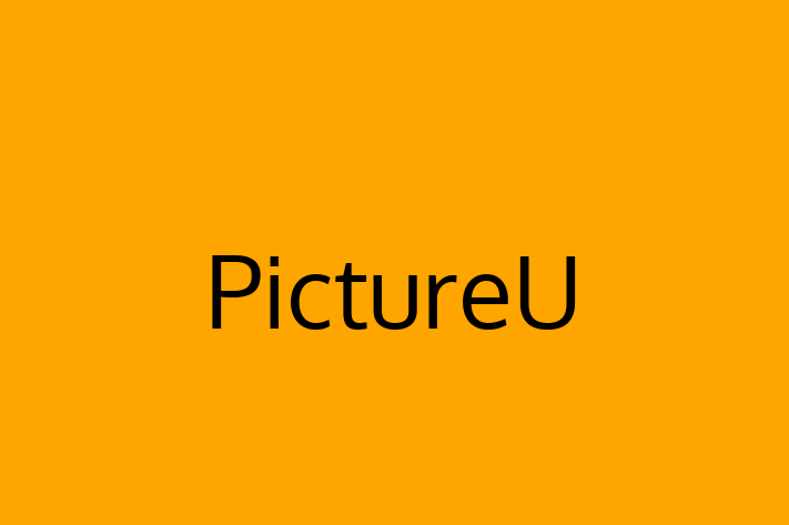 Application Development Company PictureU