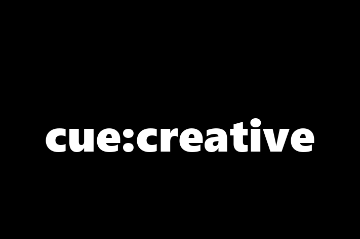 Software Development Firm cuecreative