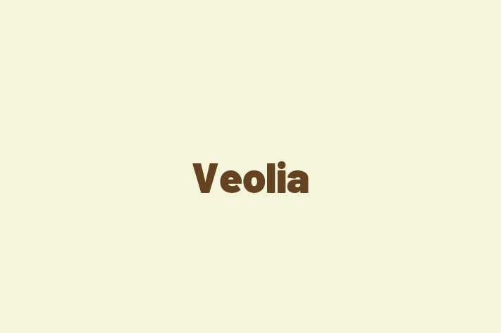 Tech Solutions Company Veolia