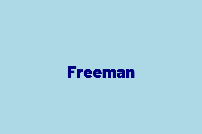 Software Services Company Freeman