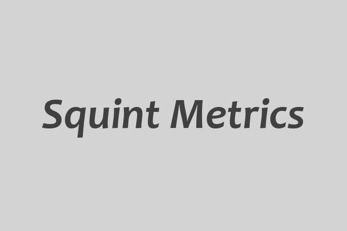 Software Services Company Squint Metrics